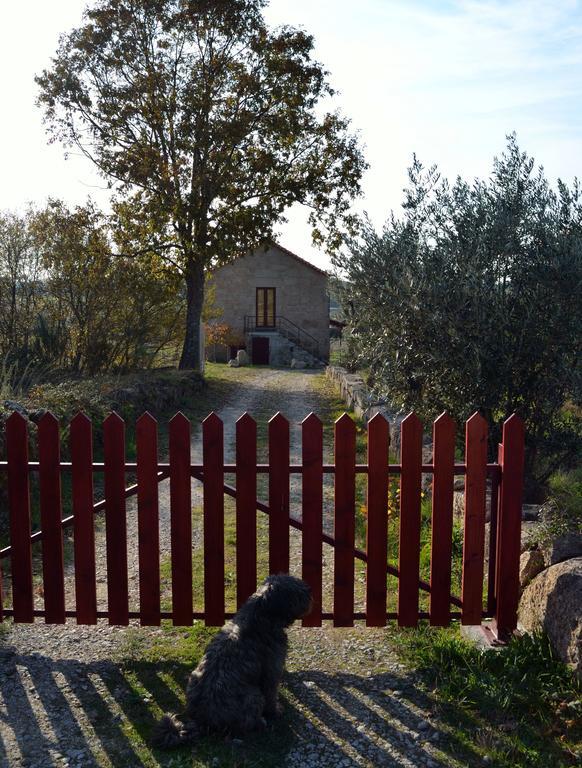 Retiro Da Lameira Seia Exterior foto